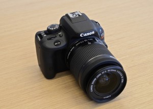 DSC_2239-hero