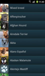 Petsie-Dog-Breeds