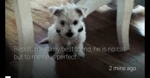 Screenshot-reddit-glass