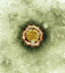 QUATRE NOUVEAUX CAS DE CORONAVIRUS EN ARABIE SAOUDITE