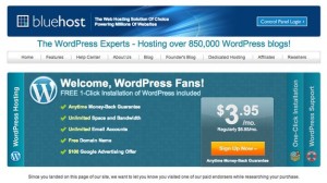 bluehost-screengrab