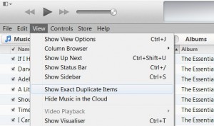 Duplicate-Songs-iTunes-3