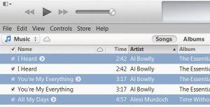 Duplicate-Songs-iTunes-4