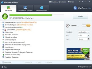 Wise-Registry-Cleaner