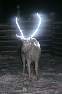 poroheijastinspray
