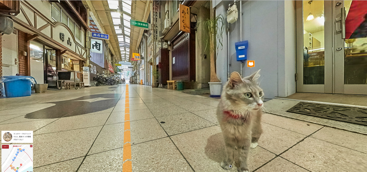 Hello street cat петиция. Cat Street релиз. Как коты видят людей. Cat Street view. QR кот укажет путь.
