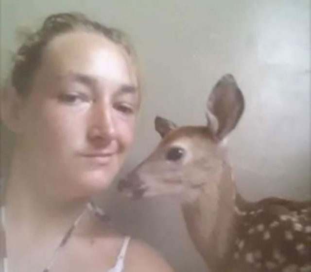 selfie-faon