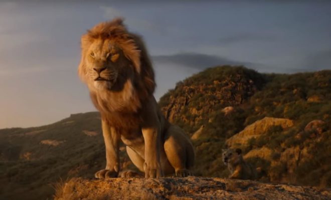 La bande-annonce officielle du Roi Lion enfin dévoilée par Disney