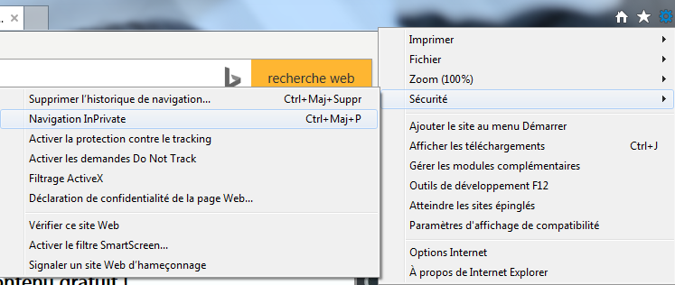 navigation InPrivate