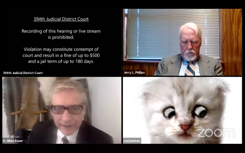 Un avocat ne parvient pas à supprimer un filtre chat sur sa visioconférence Zoom